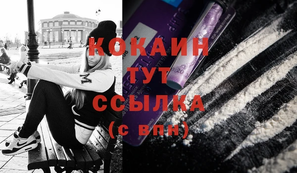герыч Новодвинск