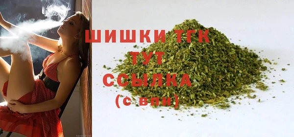 ешки Новозыбков