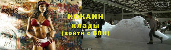 амф Новокубанск