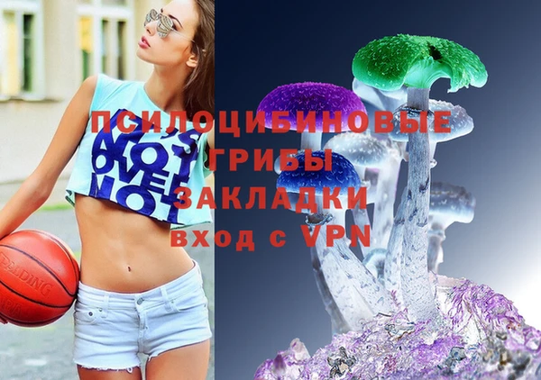 ешки Новозыбков