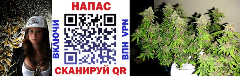 omg сайт  Торопец  МАРИХУАНА White Widow 